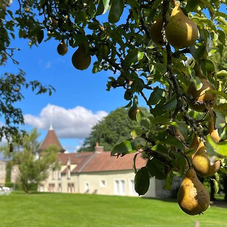 Le Petit Chateau Baye  Zewnętrze zdjęcie