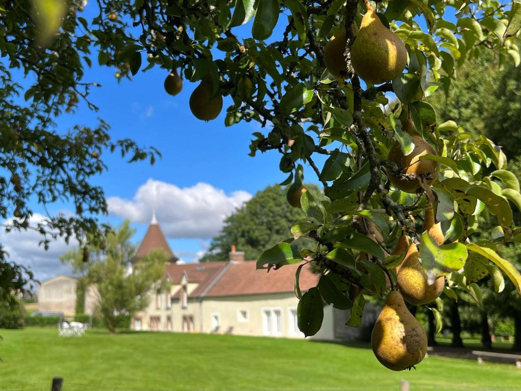 Le Petit Chateau Baye  Zewnętrze zdjęcie